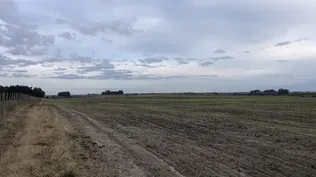 Campo en Río Negro va a remate judicial sin base