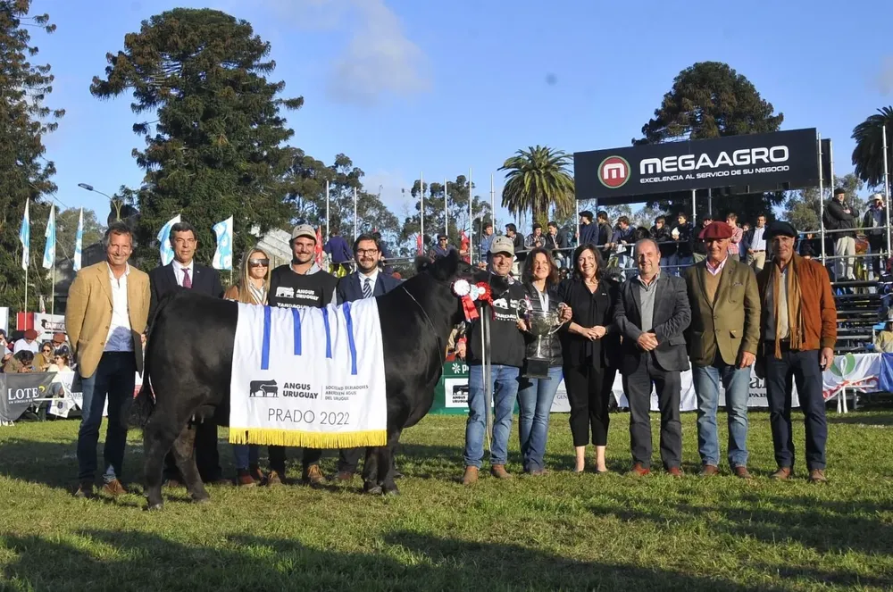 La Gran Campeona Angus Expo Prado 2022 es de Bayucuá y Cabaña Macedo.