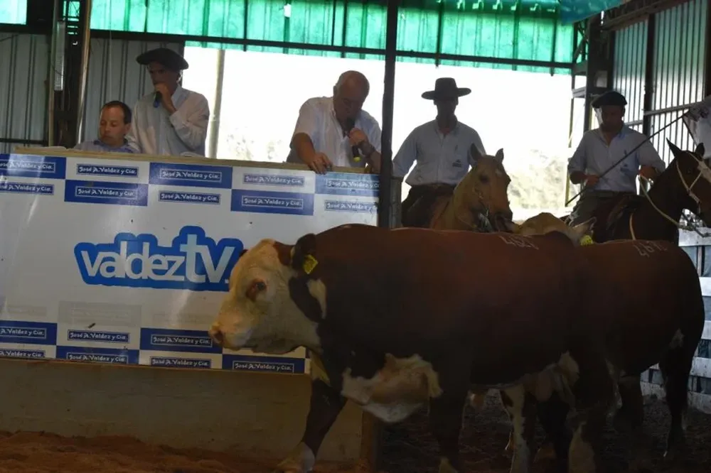 Remató el escritorio Valdez y Cía, con los comentarios de Luis Fernández