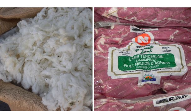 Lanas y carne ovina: ingresos superiores a los del año pasado.