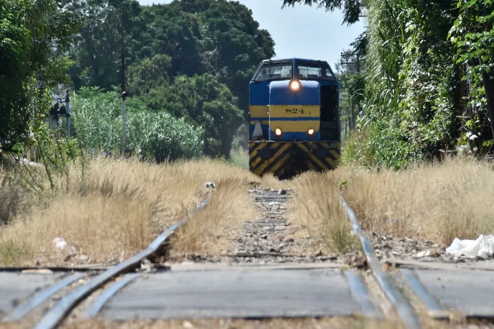 AFE tiene cerca de 2 mil predios de su propiedad, pero la mayoría no están regularizados