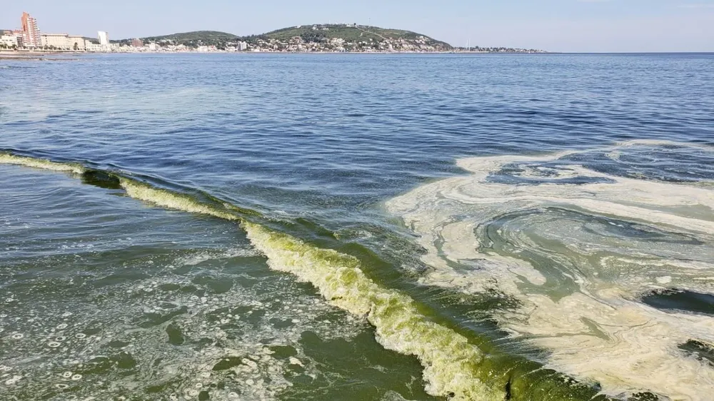 Playa de Piriápolis