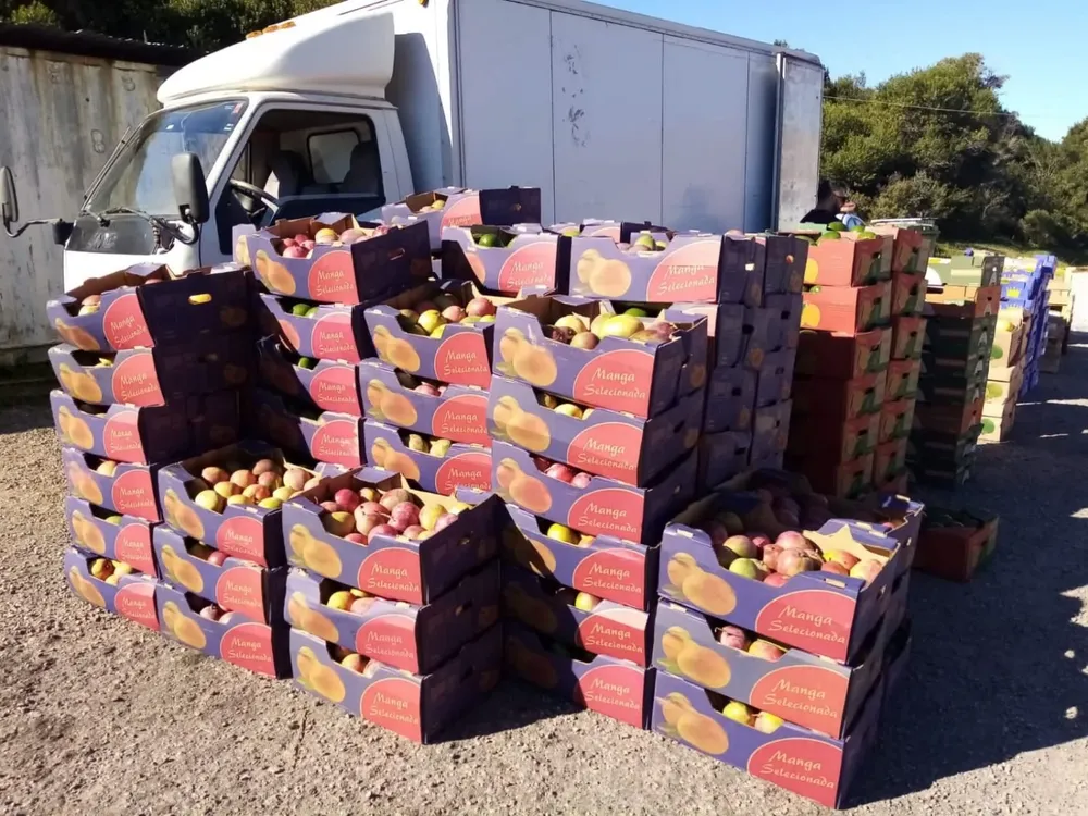 La carga fue valuada en $ 1,1 millones.