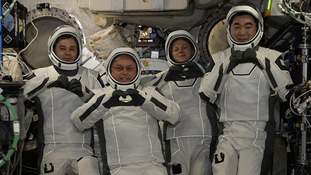 Oleg Platonov, Mike Fincke, Zena Cardman y Kimiya Yui finalizaron su estancia en la Estación Espacial Internacional un mes antes de lo previsto.