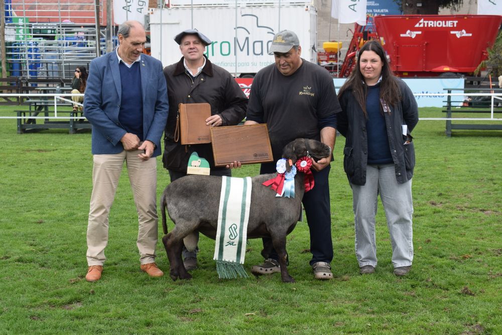 Expo Rural del Prado: Gran Campeón PO de Santa Inés.