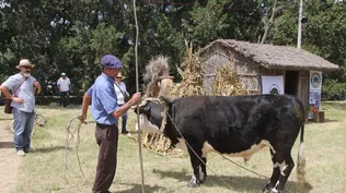 Fiesta de la Chacra.
