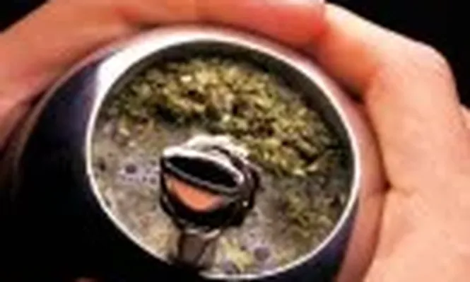 Yerba mate