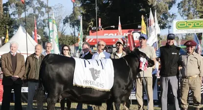 El Observador | 0002167383.webp