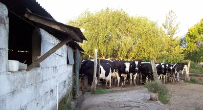 El Observador | 1559246301249.webp