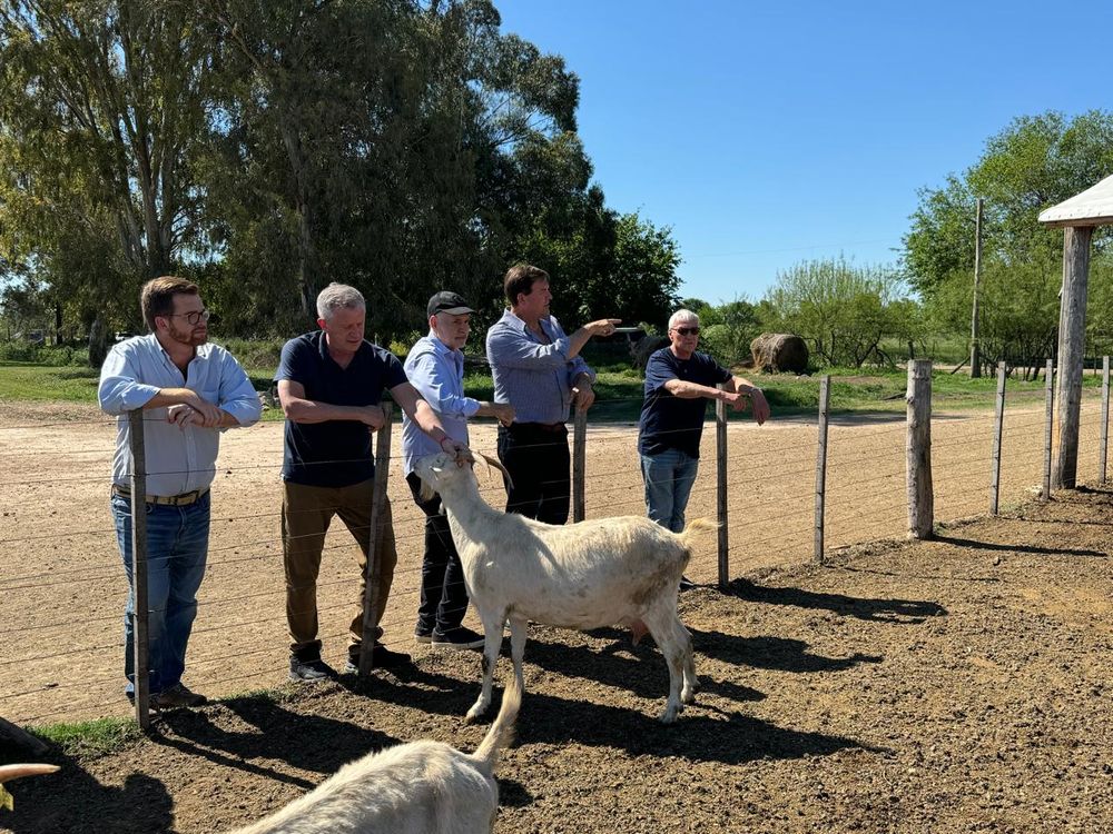 Larreta Monzó Massot.jpeg