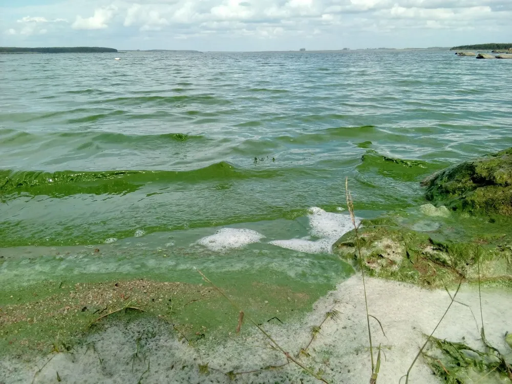 Embalse del Palmar, en el río Negro, en marzo de 2021.