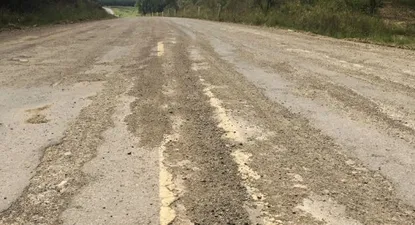 Estado debería asumir más riesgo para que PPP puedan financiarse