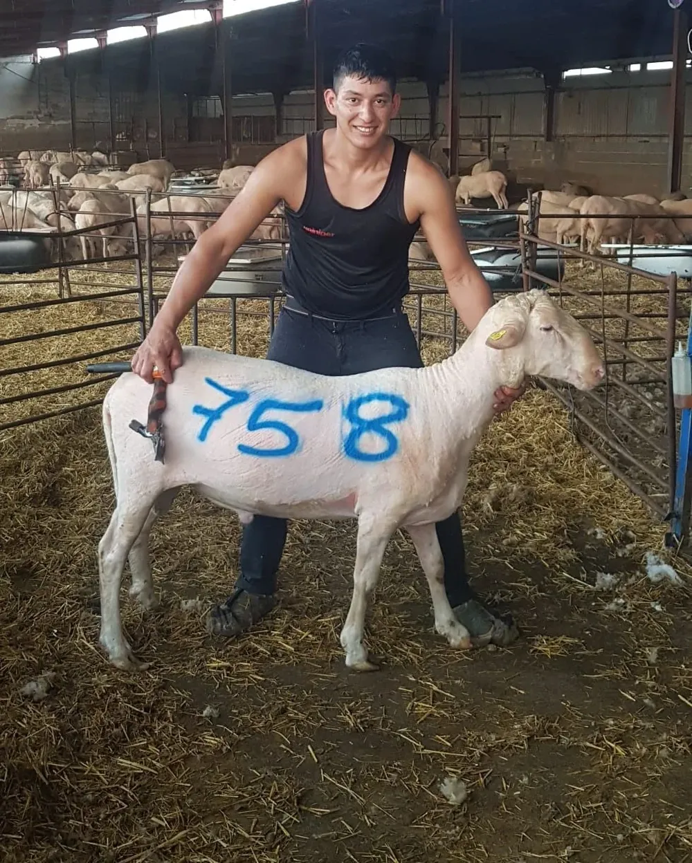 Alexis el día de su récord y el registro hasta ahora nunca igualado.