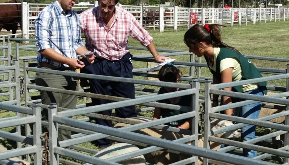 Carrasco y Rovira en plena jura de los corderos pesados
