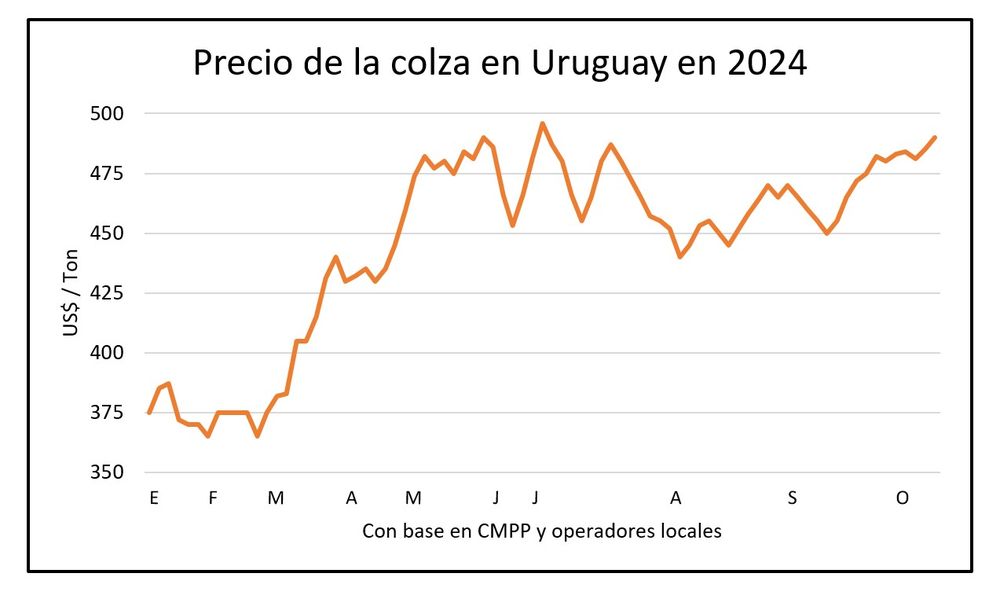 Mercado de granos, Blasina y Asociados.