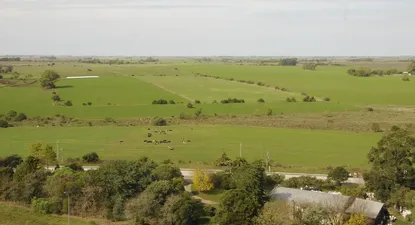Por qué el Impuesto al Patrimonio para el agro subirá casi 40% este año