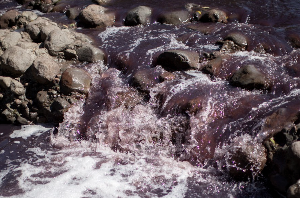 Captura de Pantalla 2024-11-22 a la(s) 11.44.08.png