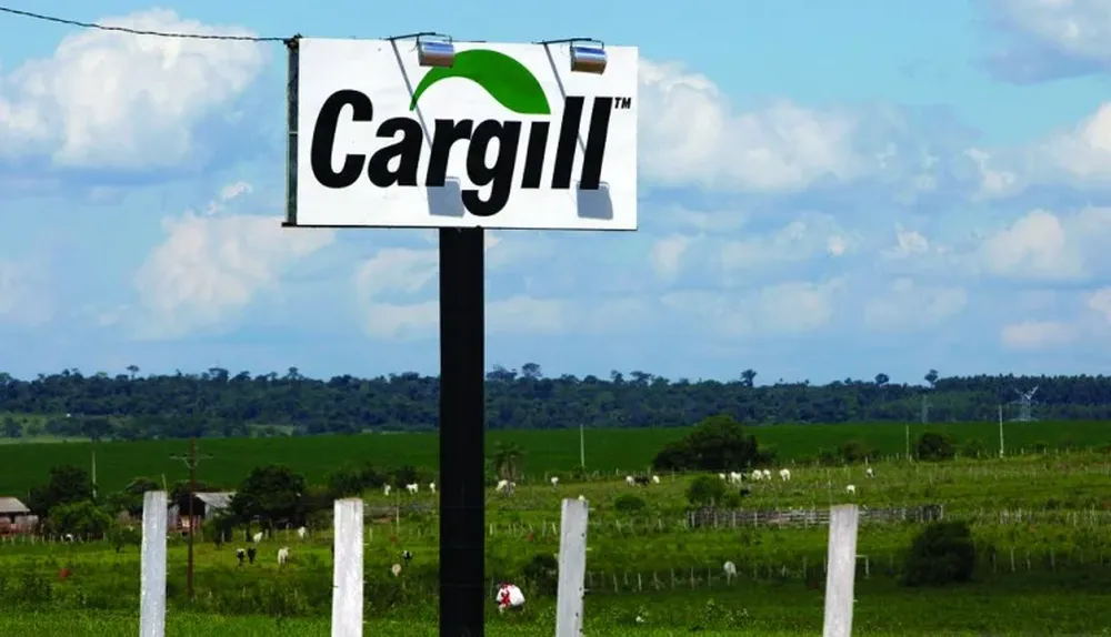 Cargill demandó a Syngenta por trabas del maíz en China