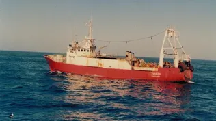 Buque pesquero