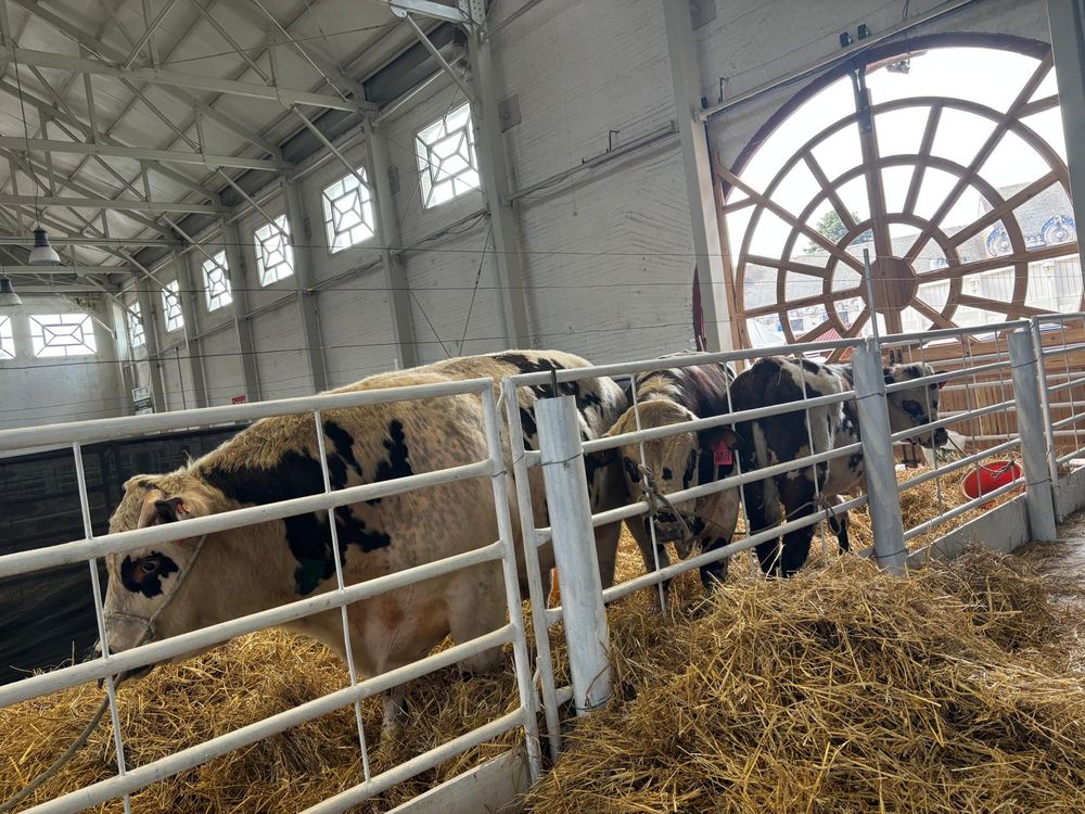 Productores agropecuarios de la FARM se expresan en cada exposición de los países del Mercosur.