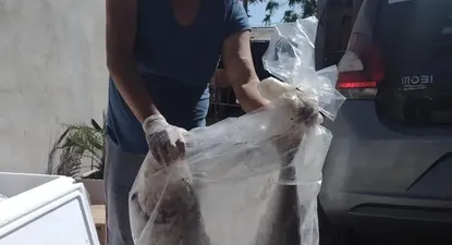 Coordinadora de Ollas y Merenderos Paso Carrasco recibiendo el pescado