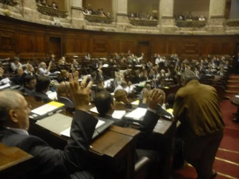 La Cámara de Senadores ya dio media Sanción a la ley interpretativa de la Caducidad