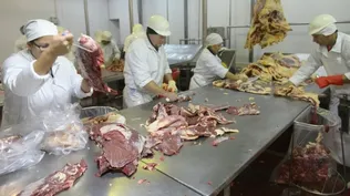La faena se ubicó por debajo de las 50 mil cabezas