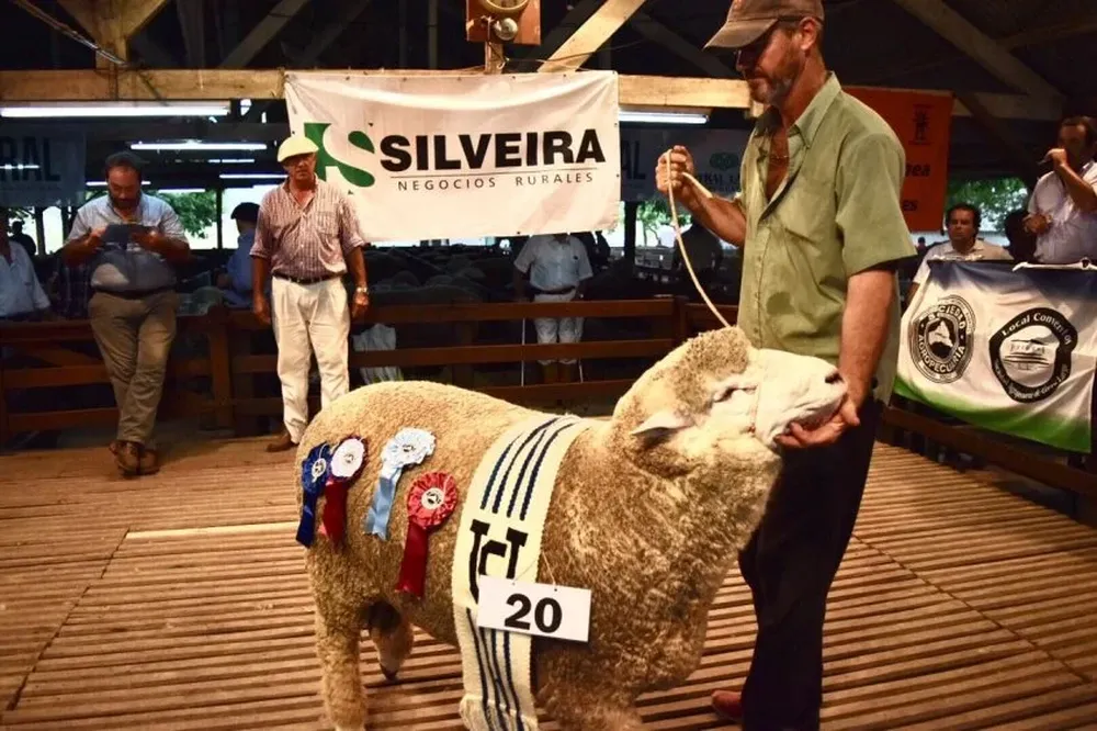 El momento en que se remataba el reproductor que cotizó US$ 5.800