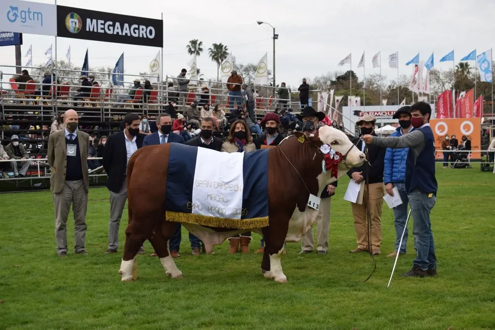 La coronación al Gran Campeón.