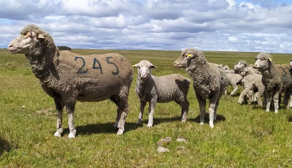 El Crilu continuará trabajando como un consorcio público privado.