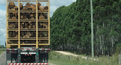 Polémica por caminería rural y el uso de esas vías de traslado de producción cuando hay excesos de lluvias.
