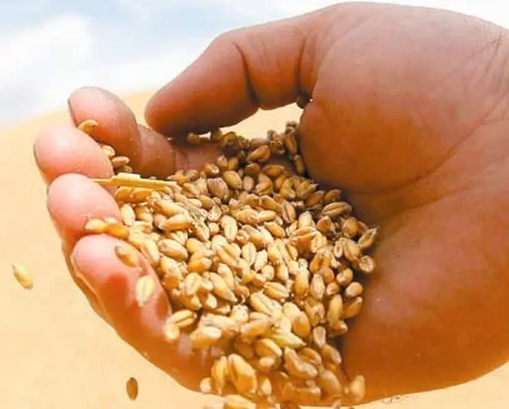 Los productores atentos a los mercados
