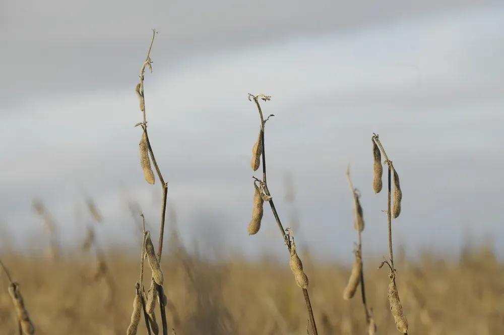 No se prevén lluvias hasta el 27 de junio