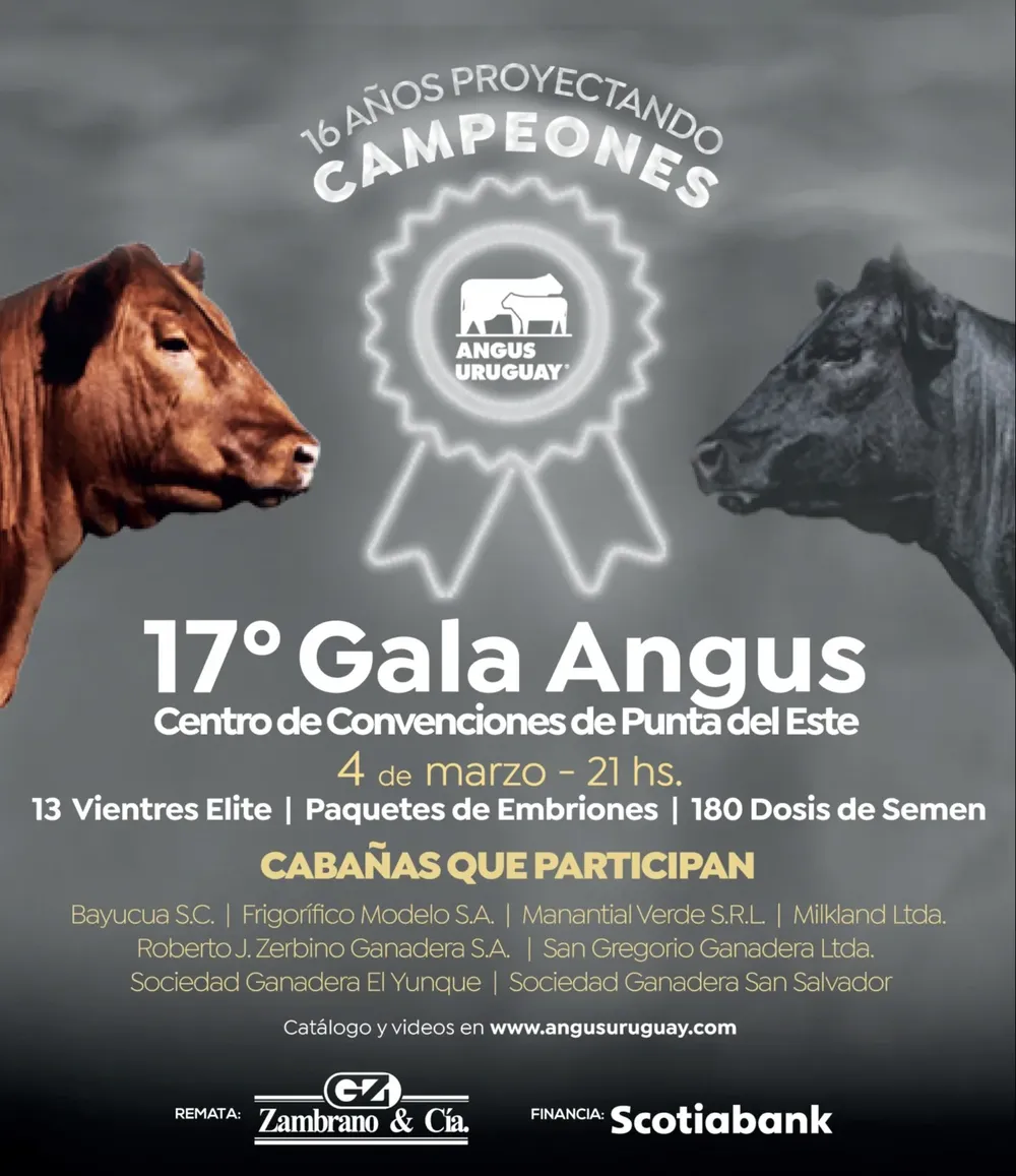 Gala Angus