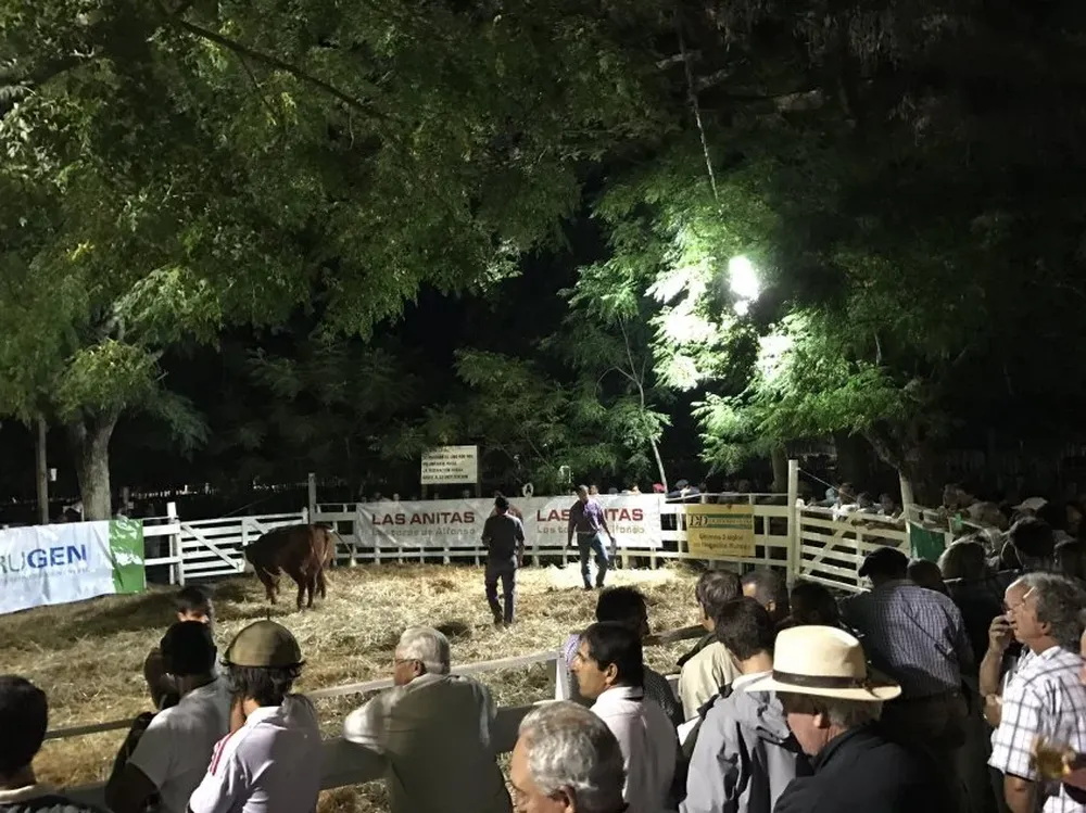 Un gran marco de público concurrió al Clásico de verano