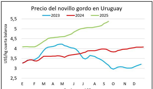 Novillos: se acumulan varias semanas con el precio muy favorable para el productor ganadero.