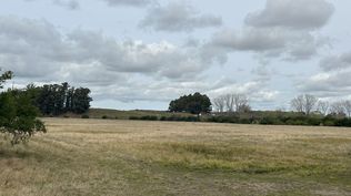 Campo en Lavalleja en remate judicial