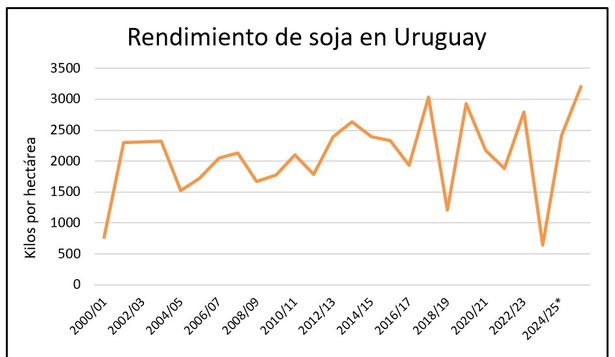 Soja: en marcha una cosecha récord en volumen.