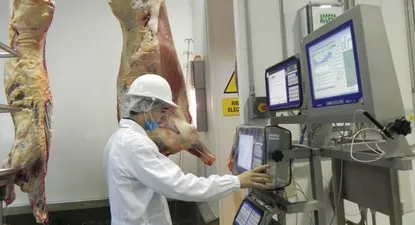 El Observador | 0001432623.webp