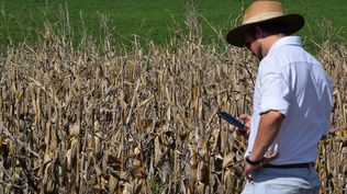Agro en Punta 2025: el MGAP presentará avances en soluciones digitales.