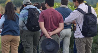 Los detalles de una nueva línea del Programa Microcrédito Rural para que jóvenes usen en producción o estudio