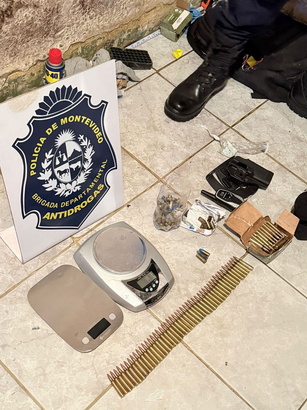 Incautaron armas y drogas en operativo en Flor de Maroñas