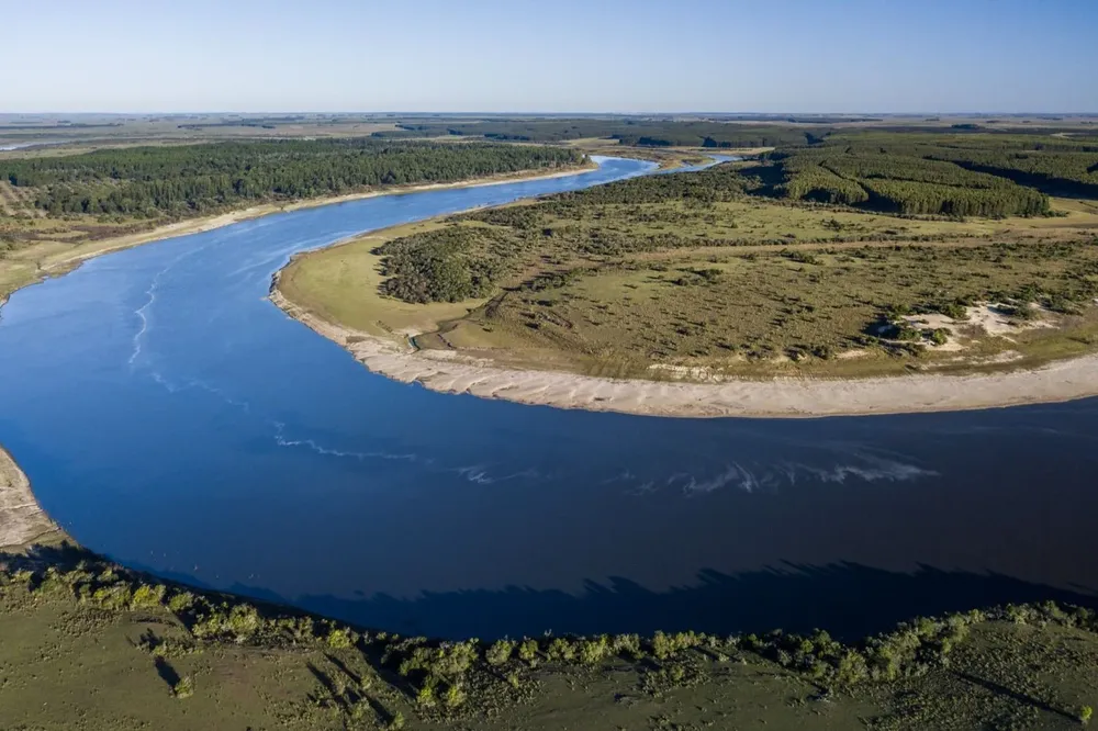 Uruguay fomenta la conservación de sus bosques nativos.