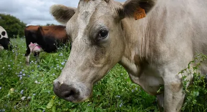 El Observador | _INE0884_1.webp