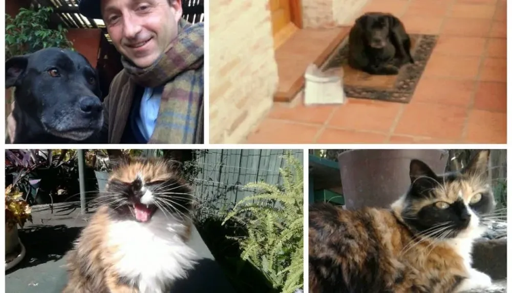 Masti y Celina, dos animales que buscaron su antiguo hogar