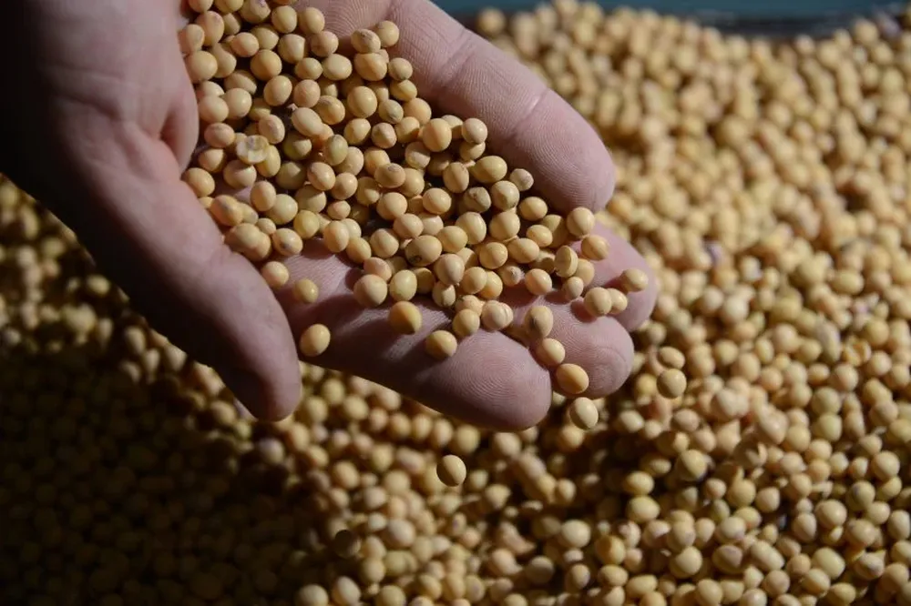 Los commodities que Uruguay exporta mantienen sus precios en caída