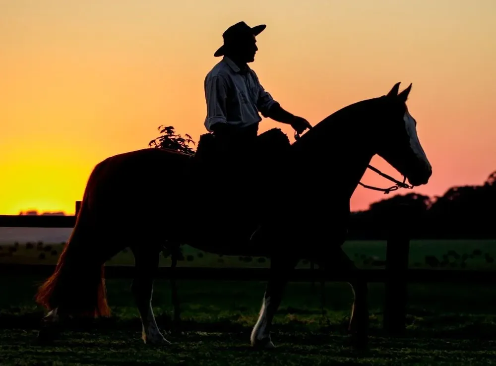 La venta se hará en la Asociación Rural de Tacuarembó.