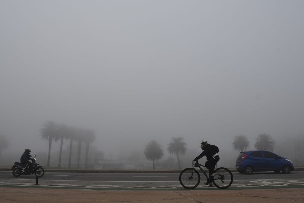 Niebla, humedad, invierno, el tiempo, el clima.