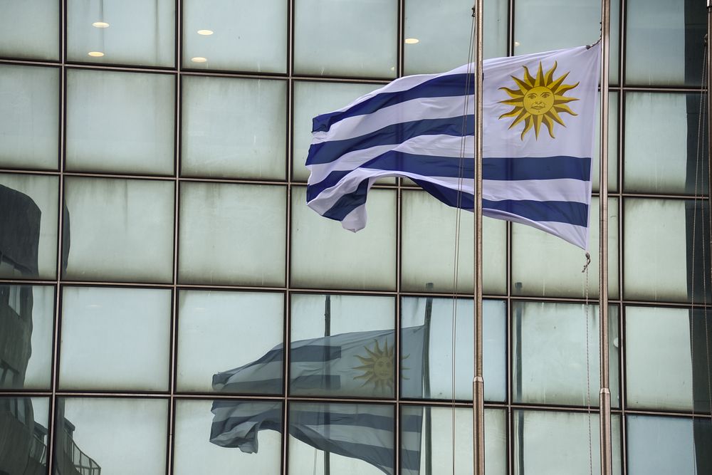 20250312 Pabellón Nacional, bandera de Uruguay