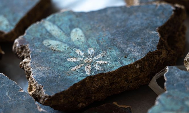 Los frescos romanos revelan detalles impresionantes como esta margarita.